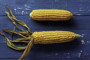 Two Ears of Corn on a Blue Wooden Surface photo