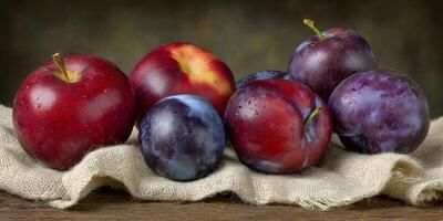 Red Apples and Plums Still Life on Burlap Fabric Rustic Wooden Tabletop Photography photo