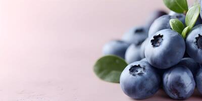 blueberries are shown on a pink background photo