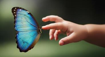 Child hand gently touching a vibrant blue butterfly wing in a natural setting photo