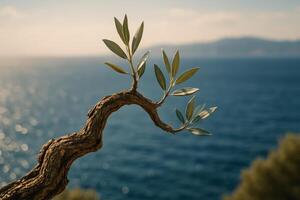 Close up of a gnarled ancient olive tree branch with fresh leaves overlooking the blue sea. photo