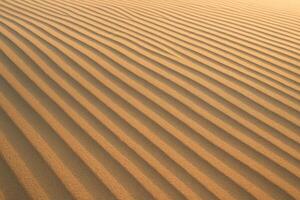 Detailed view of golden desert sand with natural wind blown ripple patterns photo
