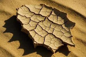 Dried cracked mud piece on desert sand symbolizing drought and aridity photo