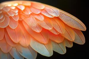 Vibrant orange bird feathers creating stunning visual symphony photo