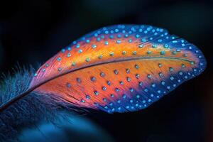 Tiny Droplets on Feather Reflecting a Spectrum of Light photo