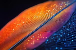 Macro View of Colorful Feather Sparkling with Dew photo