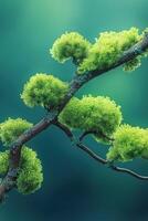 Lush green moss growing on branch creates surreal natural pattern photo