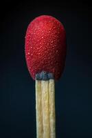 Macro photography of a single match showing red phosphorus tip photo