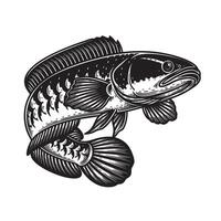 Detailed of Amazon snakehead fish, bold black and white engraving style, isolated on white background, perfect for fishing or wildlife themes. vector
