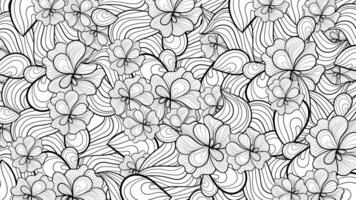 with black and white flowers pattern on white background. vector