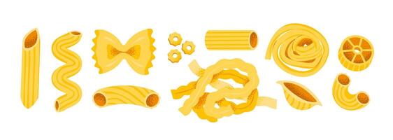 Different pasta shapes on a white background vector