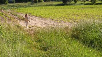 A man walking through a field of green grass video