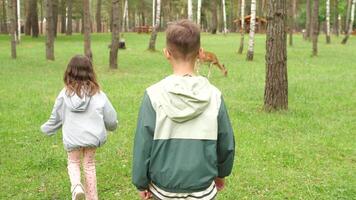 Two children walking through a forest with deer video
