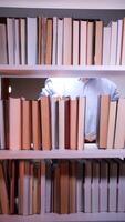 vertical bibliotecário lendo livro dentro biblioteca estante, cercado de conhecimento video