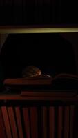 A person is reading a book in the dark video