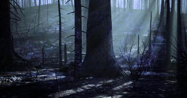 Dramatic CGI Mysterious forest illuminated by soft light during early morning hours video