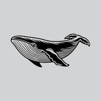 Blue Whale Capturing Natures Largest Mammal vector