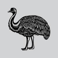 Bird in Nature Grassland Scene vector