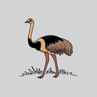 Ostrich Bird Grassland Illustration vector
