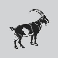 Standing Goat with Curved Horn vector