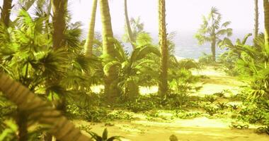 CGI tropical landscape with palm trees and ocean view during daylight video