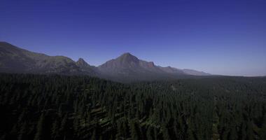 Captivating concept of CGI Majestic mountain range with dense forest under clear blue sky video