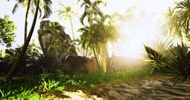 Artistic CGI Lush tropical landscape with sunlight filtering through palm trees and foliage video