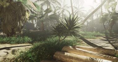 Immersive CGI Lush tropical landscape with sunlight filtering through palm trees video