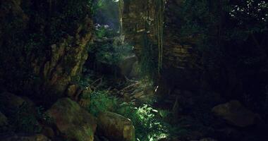 Rejuvenating CGI Lush forest landscape with sunlight filtering through trees video