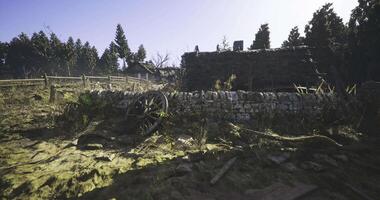 CGI of fantasy-themed game environment, specifically focusing on ruins or an abandoned area within a pine forest video