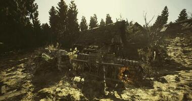 CGI of fantasy-themed game environment, specifically focusing on ruins within a pine forest video