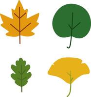 Colorful Flat Leaf Icon Pack vector
