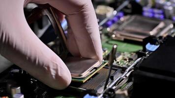 A technician wearing gloves installs a CPU onto a computer motherboard, demonstrating computer hardware assembly and repair processes. video