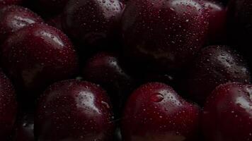 Close-up view of fresh ripe cherries with water droplets showcasing vibrant natural texture and rich red hues video