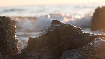 Rough beach rock and waves splash st sunset, slow motion video