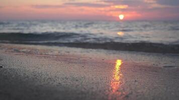 Sand beach at red sunset video