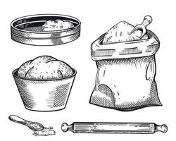 A set of illustrations, all for baking. A bag of flour, a sieve, a bowl with ready-made dough, a rolling pin, a spoon. The illustration is suitable for printing on fabric, paper, goods vector