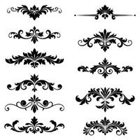 Black and White Floral Design Elements Set Ornate Swirls Leaves Vintage Style Decorative Borders Collection vector