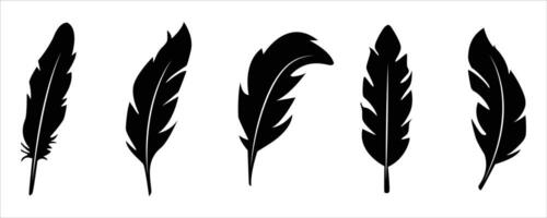 Feather Silhouette Collection .Black Ornamental Feathers on White Background vector