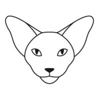 Oriental shorthair cat or Sphynx cat head in outline style. Front view. vector