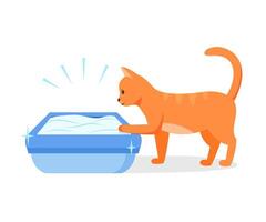 Cat using clean litter box. Right way to maintain cat toilet. Pet toilet hygiene concept. illustration vector