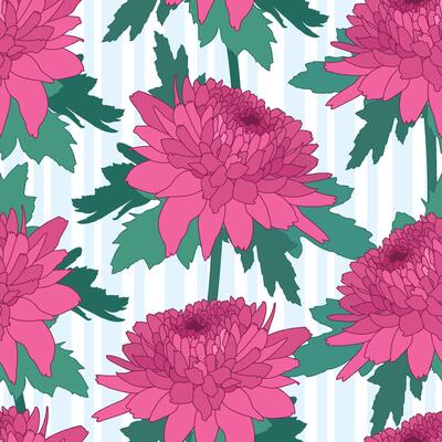 Seamless decorative pattern with pink chrysanthemum and stripes. Crown daisy repeated background.