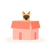 Siamese cat sits in box. Cute indoor pet plays in paper. Hiding and resting place for fluffy fiend vector