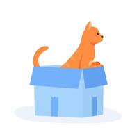 Ginger cat sits in box. Cute indoor pet plays in . Hiding and resting place for fluffy fiend vector