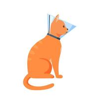 Cat in cone collar, red cat wrapped in Elizabethan collar, protection from licking for pet after treatment, cone of shame, vector