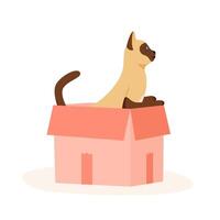 Siamese cat sits in box. Cute indoor pet plays in paper case. Hiding and resting place for fluffy fiend. Flat style vector