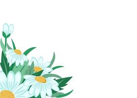 Banner, chamomile flowers on a white isolated background with space for text. For a colorful greeting card, invitation. Set of meadow flowers. vector