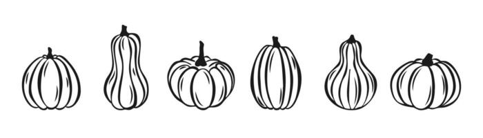 Pumpkin Hand Drawn Set for Thanksgiving Day or Halloween Isolated on white Background. Outline Silhouette Traditional Halloween Decorative line Element. Thanksgiving Pumpkin line Icon Sketch. vector