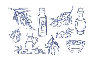 Hand drawn natural olives and oil bottle icon set. Mediterranean food illustration in doodle sketch style. Perfect for restaurant menus, packaging design, and farm products. vector