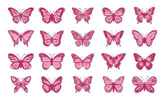 Collection of colorful butterflies. Colorful butterflies set illustration vector